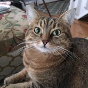 Meet your Posher, Susan